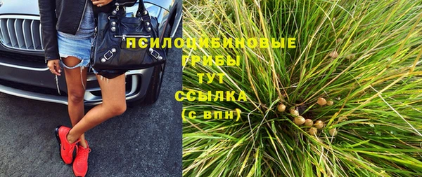 mix Горнозаводск